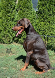 118626702_1017797422009643_4772204563323243308_n