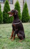 20229464_1540909912640455_12633592687445025_o