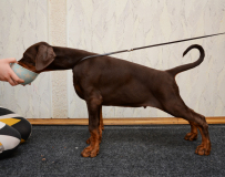 DSC_0255