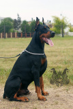 image-25-06-20-12-33