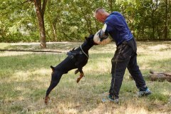 index6