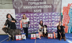 152009521_3952241968173892_3870120250385311951_n