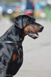 180953293_609809660418392_6144134968571696338_n