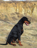 DSC_5169
