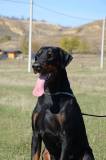 23231621_1643216815743097_6746950309839132839_n