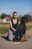 3699-копия