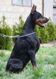 14364658_1219215338143249_5927672567226920883_n