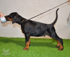 DSC 2258